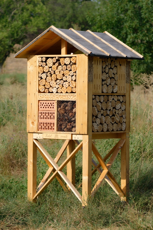 Insects hotel